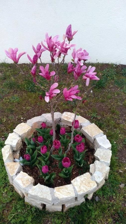 Palme Villa Poreč Exteriör bild