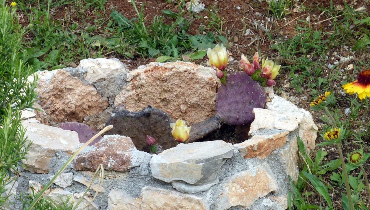 Palme Villa Poreč Exteriör bild